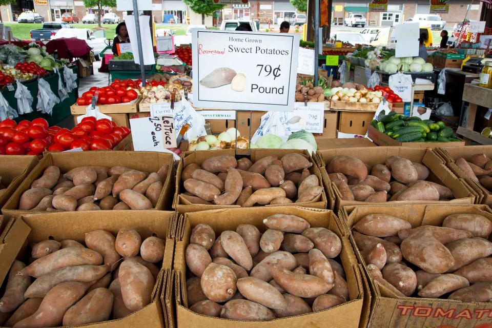 Places We Love Around Margate in Margate